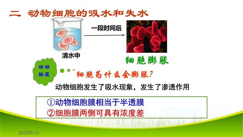 4.1 被动运输 课件-2021-2022学年人教版（2019）高一上学期生物必修一07