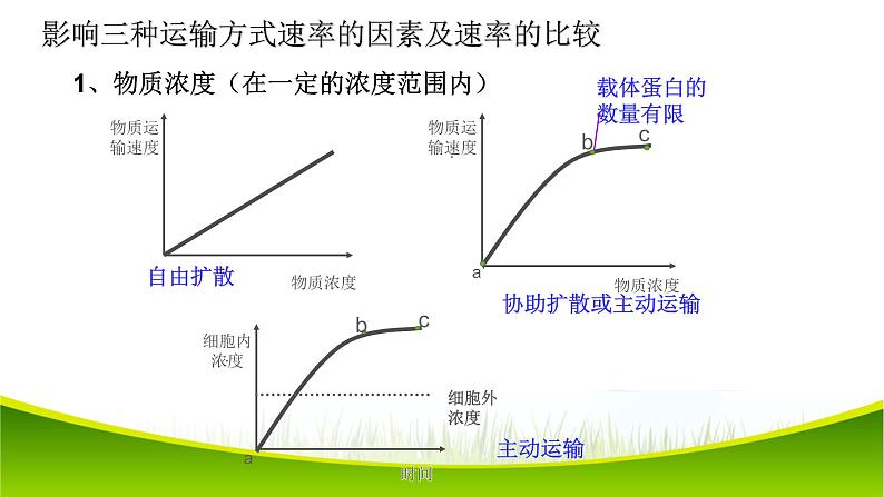 4.2 主动运输与胞吞、胞吐 课件-2021-2022学年人教版（2019）高一上学期生物必修一第6页