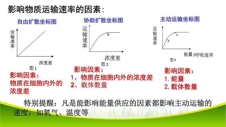 4.2 主动运输与胞吞、胞吐 课件-2021-2022学年人教版（2019）高一上学期生物必修一第8页