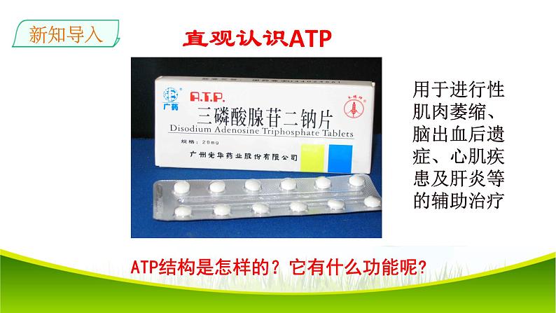 5.2 细胞的能量“货币”ATP 课件-2021-2022学年人教版（2019）高一生物必修一03