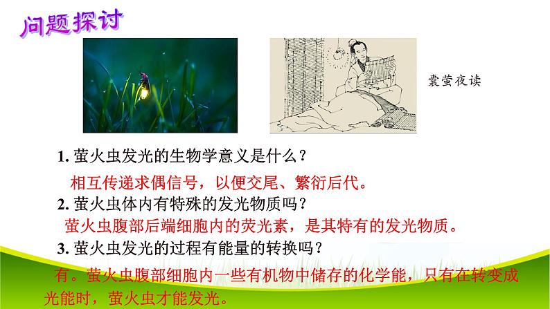 5.2 细胞的能量“货币”ATP 课件-2021-2022学年人教版（2019）高一生物必修一04