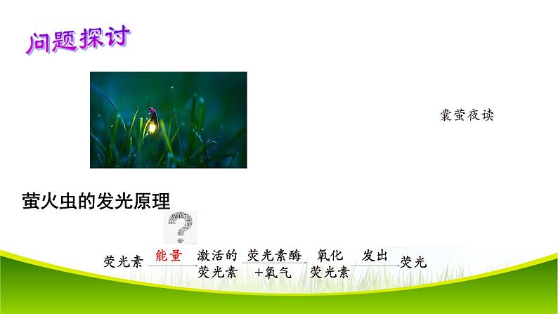 5.2 细胞的能量“货币”ATP 课件-2021-2022学年人教版（2019）高一生物必修一05