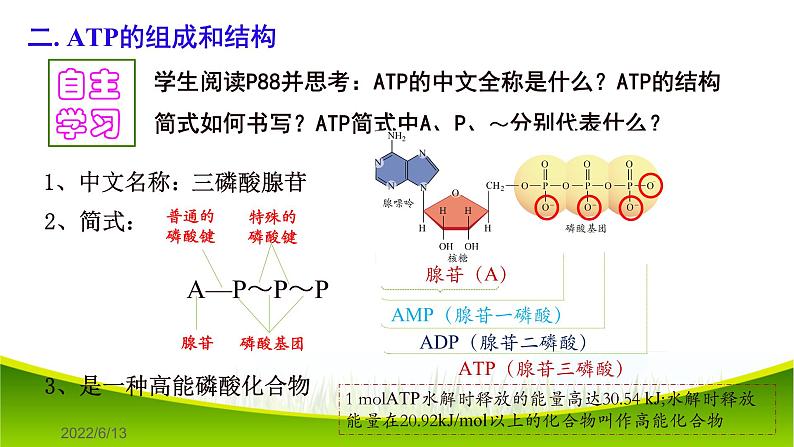 5.2 细胞的能量“货币”ATP 课件-2021-2022学年人教版（2019）高一生物必修一07