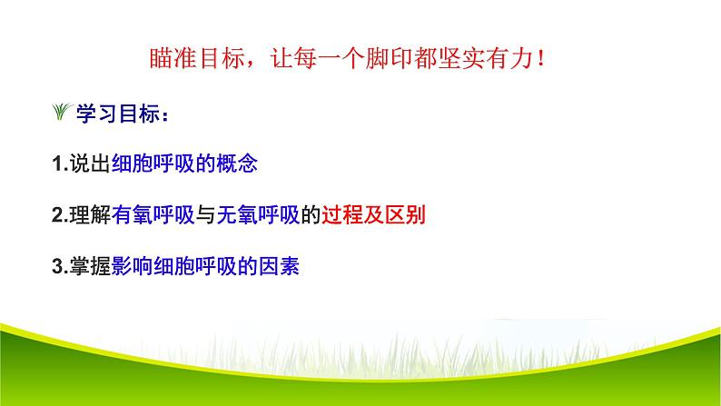 5.3 细胞呼吸的原理和应用（第二课时）课件-2021-2022学年人教版（2019）高一生物必修一03