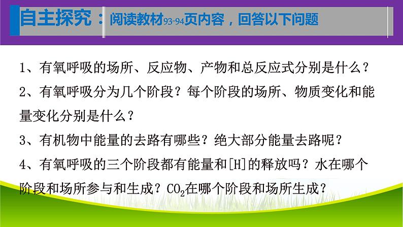 5.3 细胞呼吸的原理和应用（第二课时）课件-2021-2022学年人教版（2019）高一生物必修一05