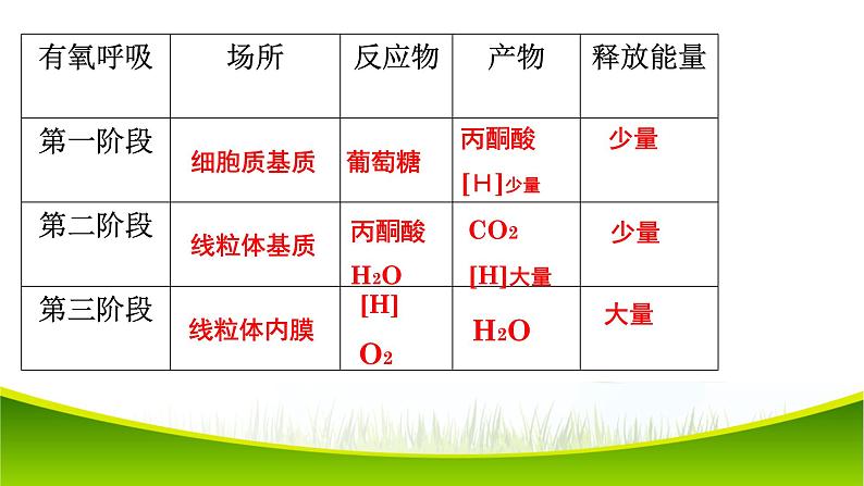 5.3 细胞呼吸的原理和应用（第二课时）课件-2021-2022学年人教版（2019）高一生物必修一08