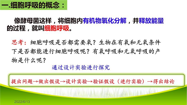 5.3 细胞呼吸的原理和应用（第一课时） 课件-2021-2022学年人教版（2019）高一生物必修一第5页