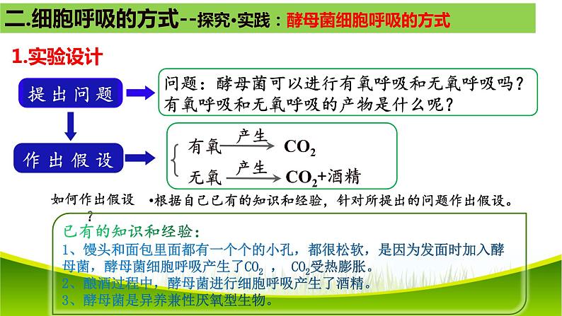 5.3 细胞呼吸的原理和应用（第一课时） 课件-2021-2022学年人教版（2019）高一生物必修一第7页