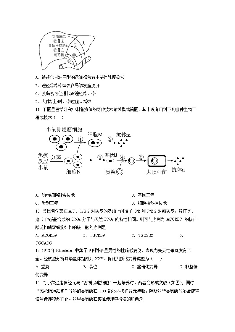 2022年上海市奉贤区高二下生物等级考二模试卷（含详解）第3页