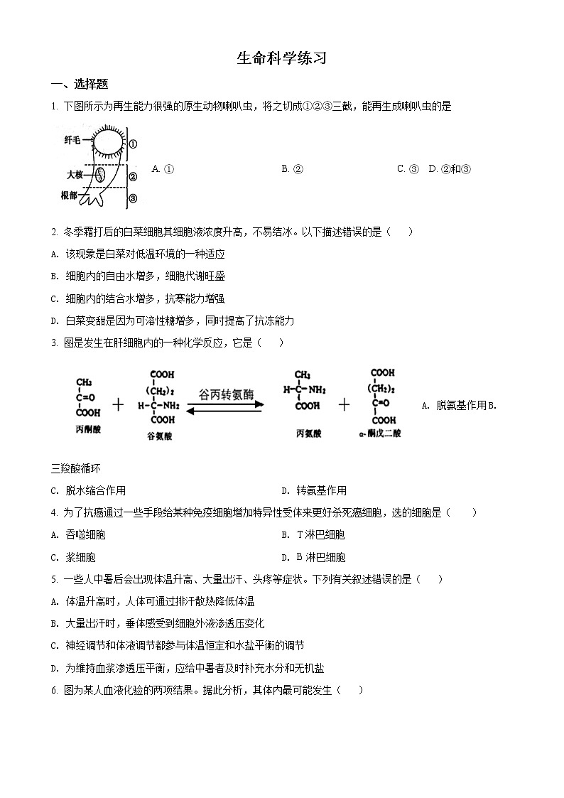 2022年上海市松江区高三等级考二模生物试题（含详解）第1页