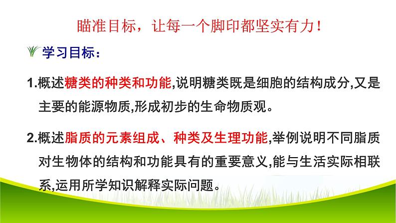 2.3 细胞中糖类和脂质 课件-2021-2022学年人教版（2019）高一生物必修一02