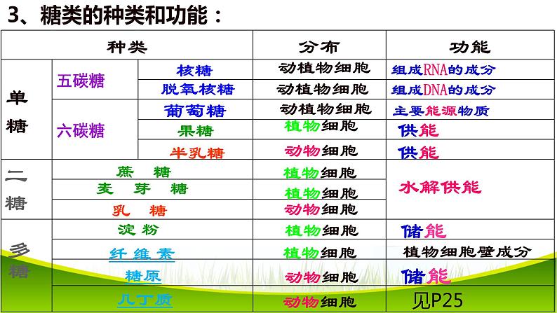 2.3 细胞中糖类和脂质 课件-2021-2022学年人教版（2019）高一生物必修一06