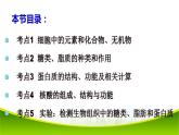 第二章 组成细胞的分子 单元复习 课件-2021-2022学年人教版（2019）高一生物必修一