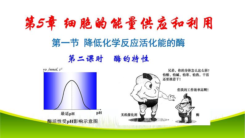 5.1 降低化学反应活化能的酶 第二课时 课件-2021-2022学年人教版（2019）高一生物必修一01