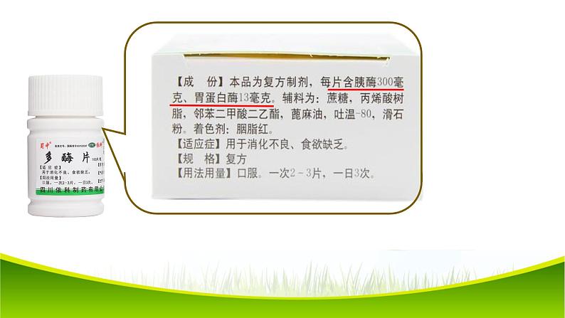 5.1 降低化学反应活化能的酶 第二课时 课件-2021-2022学年人教版（2019）高一生物必修一03