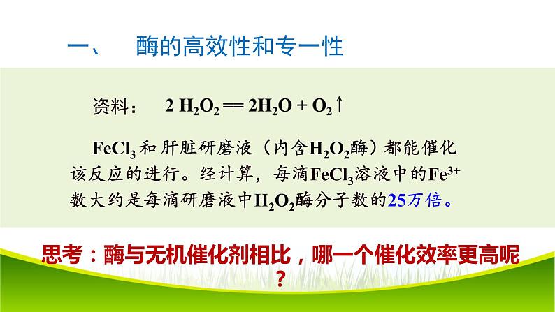 5.1 降低化学反应活化能的酶 第二课时 课件-2021-2022学年人教版（2019）高一生物必修一04