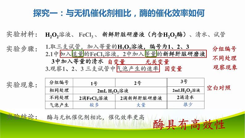 5.1 降低化学反应活化能的酶 第二课时 课件-2021-2022学年人教版（2019）高一生物必修一06