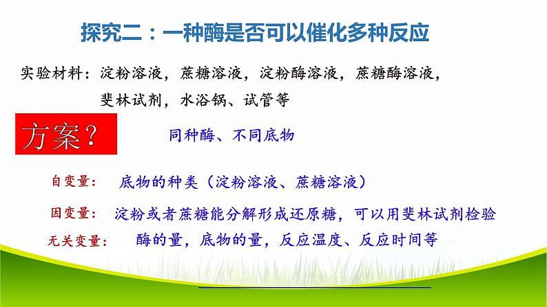 5.1 降低化学反应活化能的酶 第二课时 课件-2021-2022学年人教版（2019）高一生物必修一08