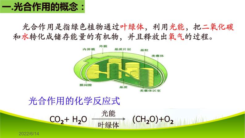 5.4 光合作用与能量转化（第二课时）课件-2021-2022学年人教版（2019）高一生物必修一04