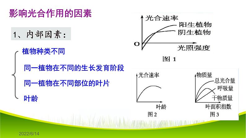 5.4 光合作用与能量转化（第三课时）课件-2021-2022学年人教版（2019）高一生物必修一05