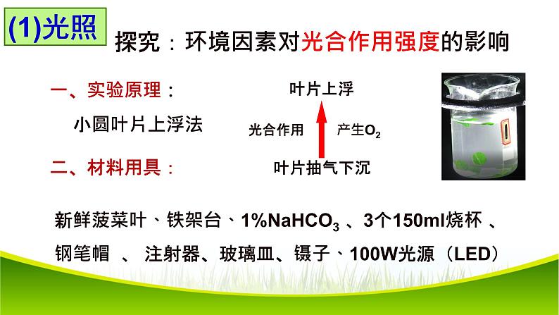 5.4 光合作用与能量转化（第三课时）课件-2021-2022学年人教版（2019）高一生物必修一07