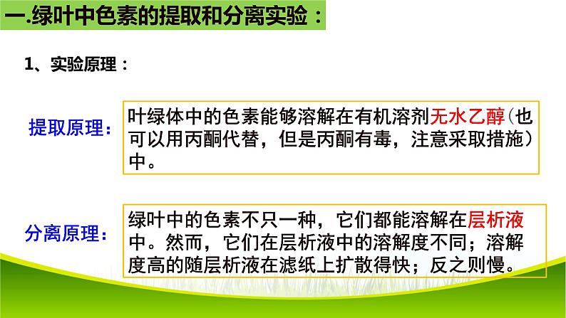 5.4 光合作用与能量转化（第一课时）课件-2021-2022学年人教版（2019）高一生物必修一04