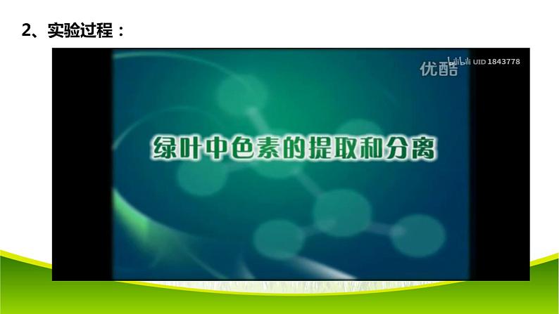 5.4 光合作用与能量转化（第一课时）课件-2021-2022学年人教版（2019）高一生物必修一05