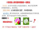 1.1 孟德尔的豌豆杂交实验（一）第1课时 分离定律的发现 课件【新教材】2020-2021学年高一生物人教版（2019）必修二