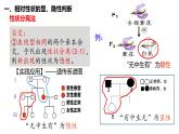 1.1 孟德尔的豌豆杂交实验（一）第2课时 分离定律的应用 课件【新教材】2020-2021学年高一生物人教版（2019）必修二