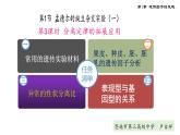 1.1 孟德尔的豌豆杂交实验（一）第3课时 分离定律的拓展应用 课件【新教材】2020-2021学年高一生物人教版（2019）必修二