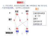 1.1 孟德尔的豌豆杂交实验（一）第3课时 分离定律的拓展应用 课件【新教材】2020-2021学年高一生物人教版（2019）必修二