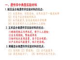 1.1 孟德尔的豌豆杂交实验（一）第3课时 分离定律的拓展应用 课件【新教材】2020-2021学年高一生物人教版（2019）必修二