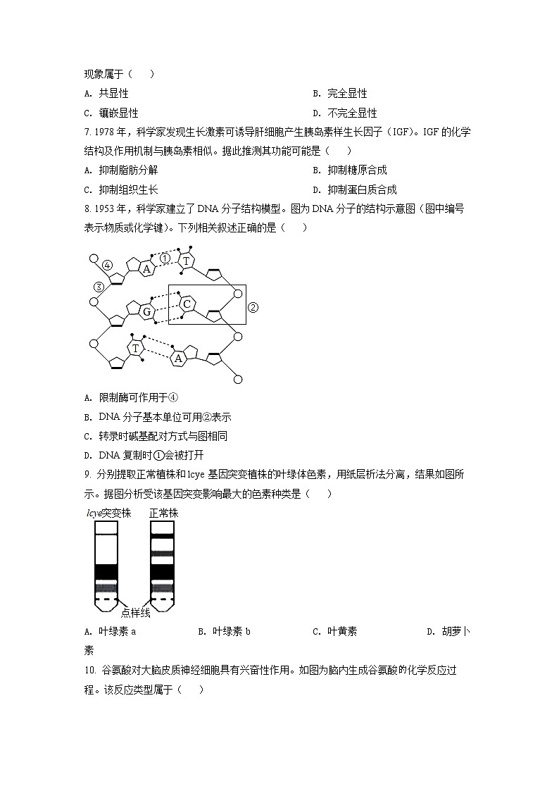 2022年上海市虹口区高三（二）等级考二模生物试题（含详解）02