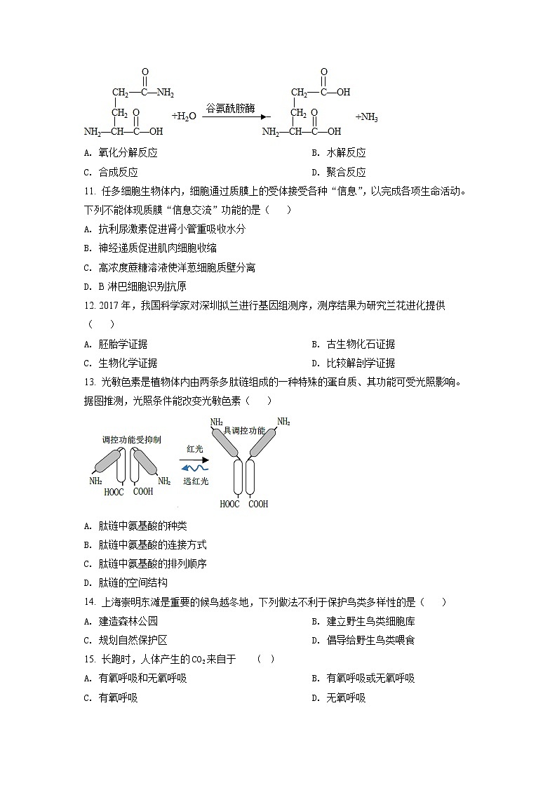 2022年上海市虹口区高三（二）等级考二模生物试题（含详解）03