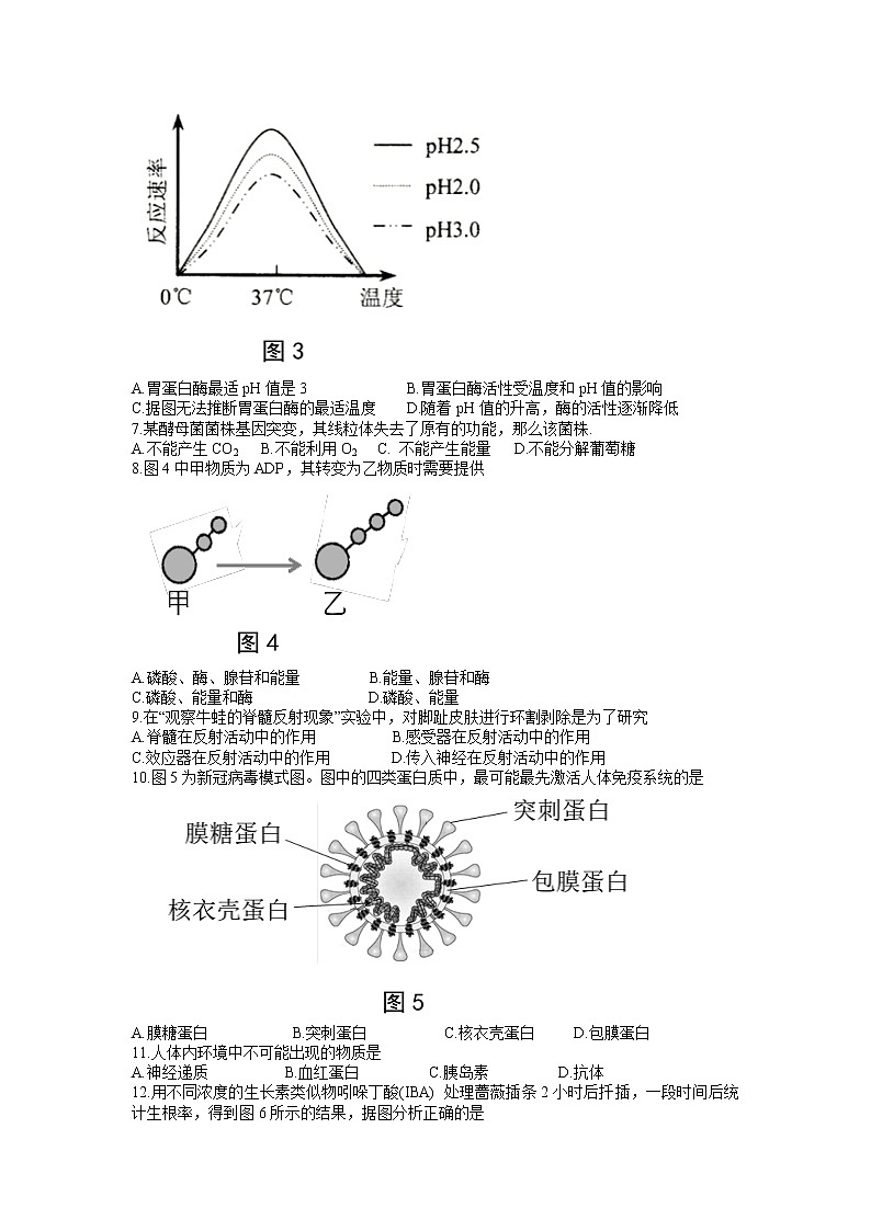 2022年上海市闵行区高三（二）等级考二模生物试题（含答案）第2页