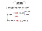 2.1 减数分裂和受精作用 课件【新教材】2020-2021学年高一生物人教版（2019）必修二