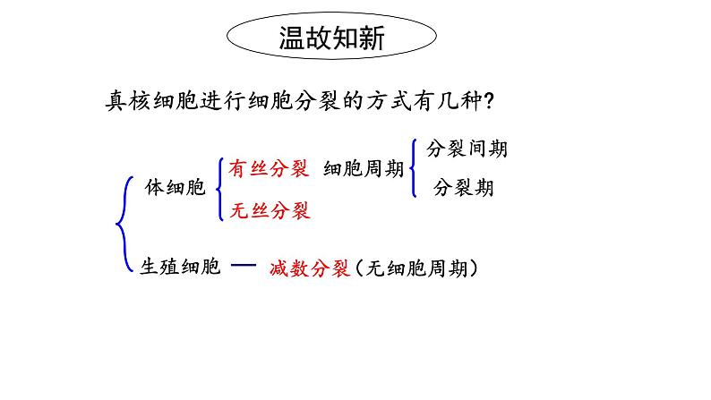 2.1 减数分裂和受精作用 课件【新教材】2020-2021学年高一生物人教版（2019）必修二第1页