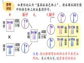 2.2 基因在染色体上 课件【新教材】2020-2021学年高一生物人教版（2019）必修二