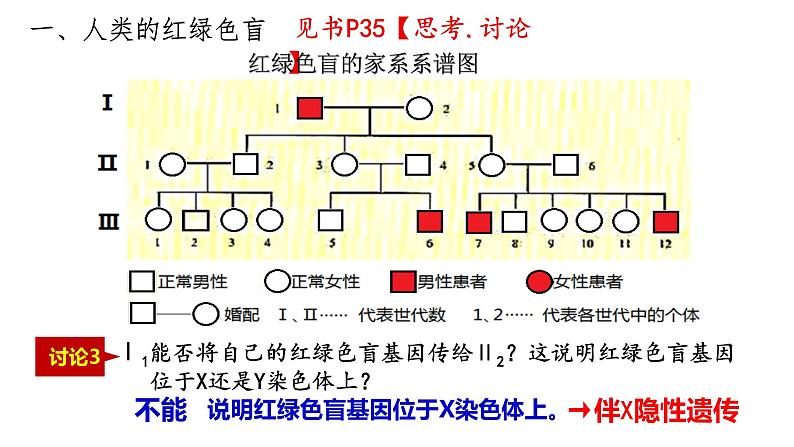 2.3 伴性遗传 课件【新教材】2020-2021学年高一生物人教版（2019）必修二07