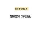 3.2 DNA的结构（合格考专用） 课件【新教材】2020-2021学年高一生物人教版（2019）必修二
