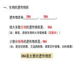 3.2 DNA的结构（合格考专用） 课件【新教材】2020-2021学年高一生物人教版（2019）必修二