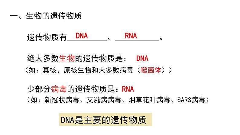 3.2 DNA的结构（合格考专用） 课件【新教材】2020-2021学年高一生物人教版（2019）必修二第2页