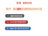 3.4 基因通常是有遗传效应的DNA片段  课件【新教材】2020-2021学年高一生物人教版（2019）必修二