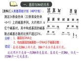 3.4 基因通常是有遗传效应的DNA片段  课件【新教材】2020-2021学年高一生物人教版（2019）必修二