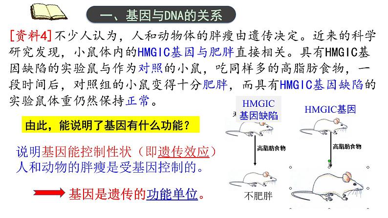 3.4 基因通常是有遗传效应的DNA片段  课件【新教材】2020-2021学年高一生物人教版（2019）必修二07