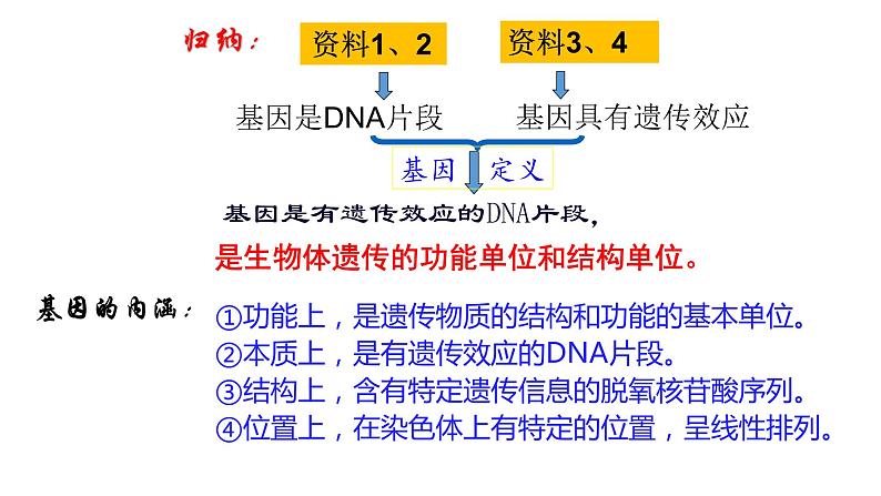 3.4 基因通常是有遗传效应的DNA片段  课件【新教材】2020-2021学年高一生物人教版（2019）必修二08