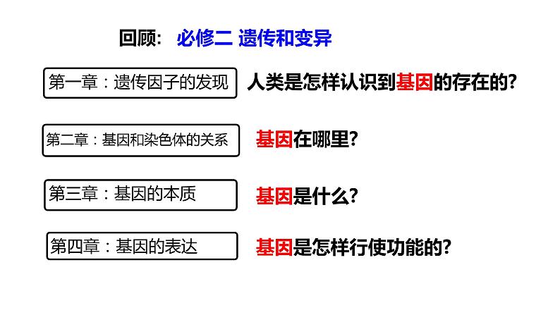 4.1 基因指导蛋白质的合成  课件【新教材】2020-2021学年高一生物人教版（2019）必修二01