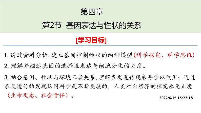 4.2 基因表达与性状的关系  课件【新教材】2020-2021学年高一生物人教版（2019）必修二01