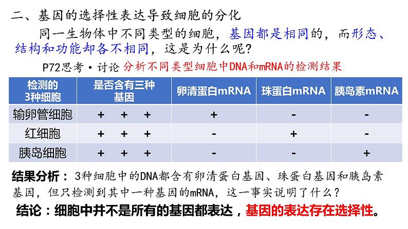 4.2 基因表达与性状的关系  课件【新教材】2020-2021学年高一生物人教版（2019）必修二08