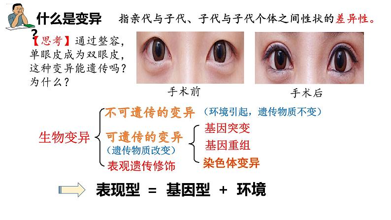 5.1基因突变和基因重组  课件【新教材】2020-2021学年高一生物人教版（2019）必修二第1页